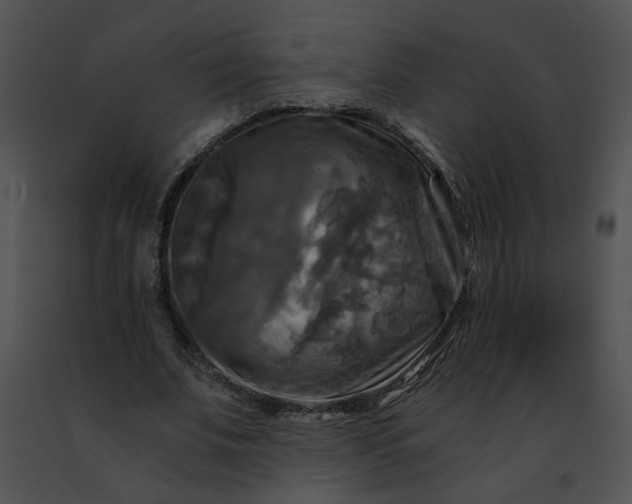 X0000091480679200708301915