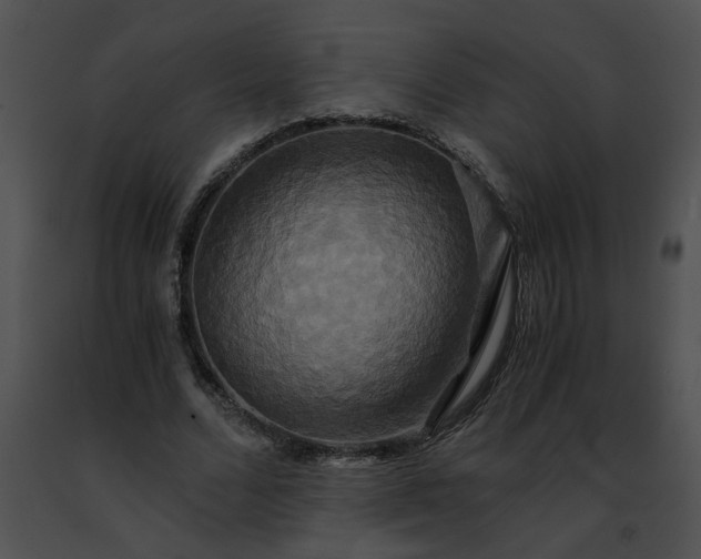 X0000091480680200708301915