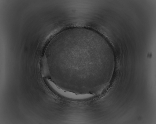 X0000091480681200708301915