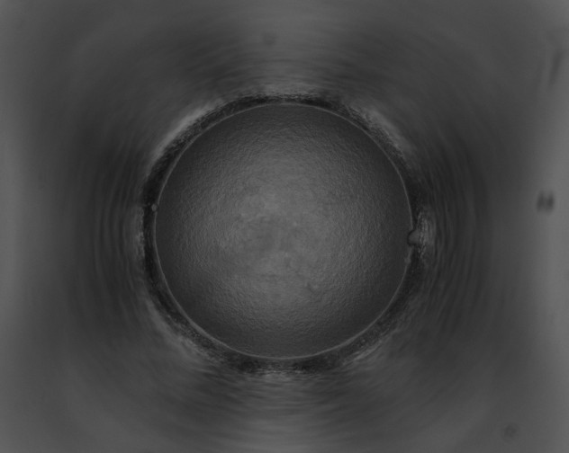 X0000091480684200708301915