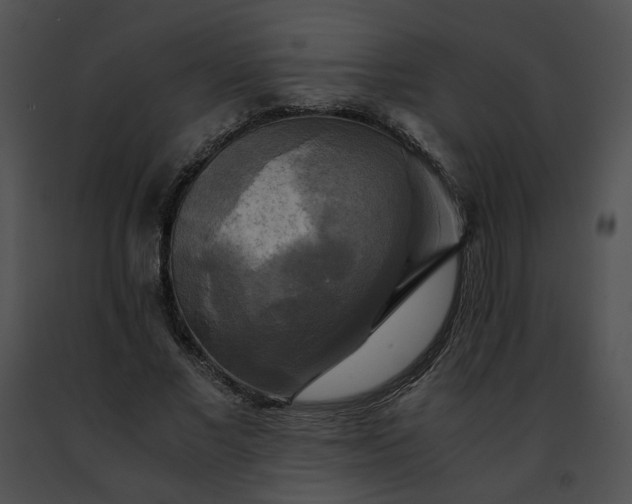 X0000091480685200708301915