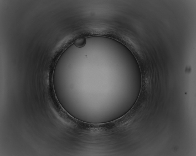 X0000091480686200708301915