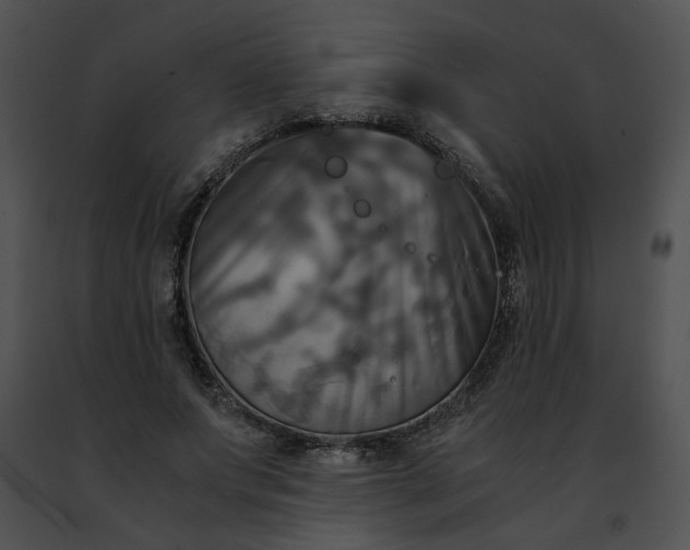 X0000091480687200708301915