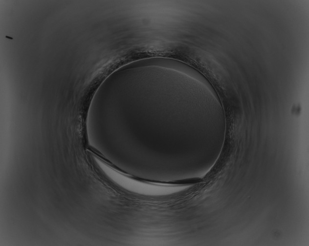 X0000091480689200708301915