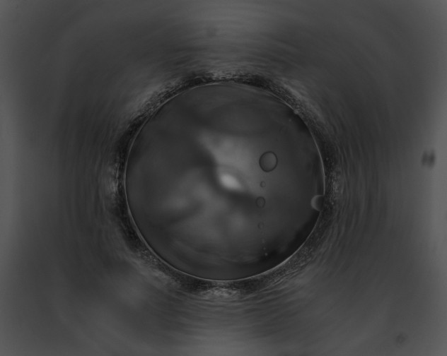 X0000091480691200708301915