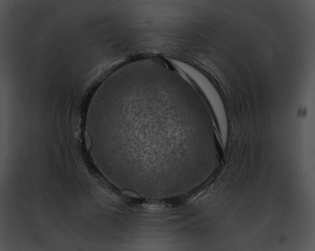 X0000091480693200708301915