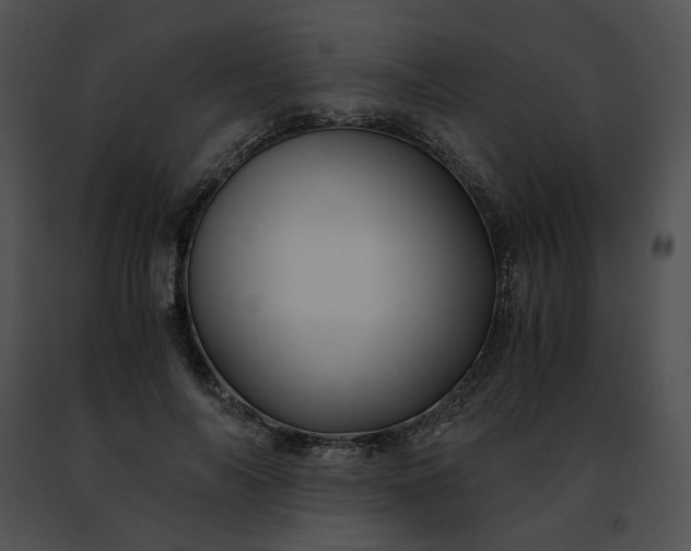 X0000091480694200708301915