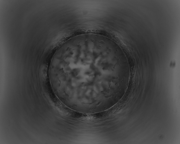 X0000091480695200708301914