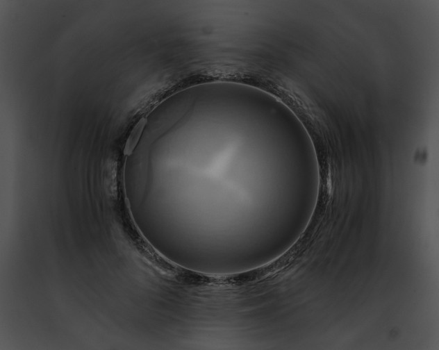 X0000091480696200708301914