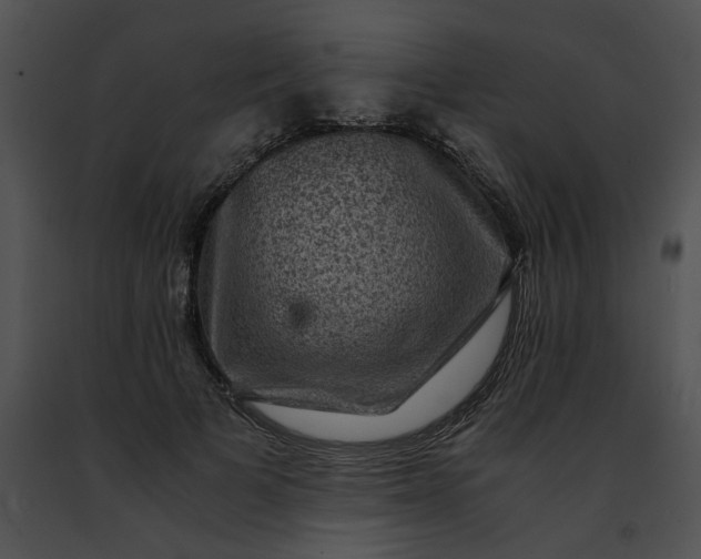 X0000091480697200708301914