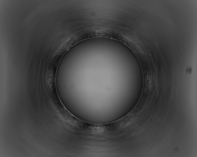 X0000091480698200708301914