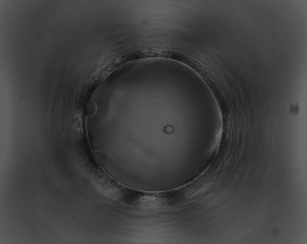 X0000091480699200708301914