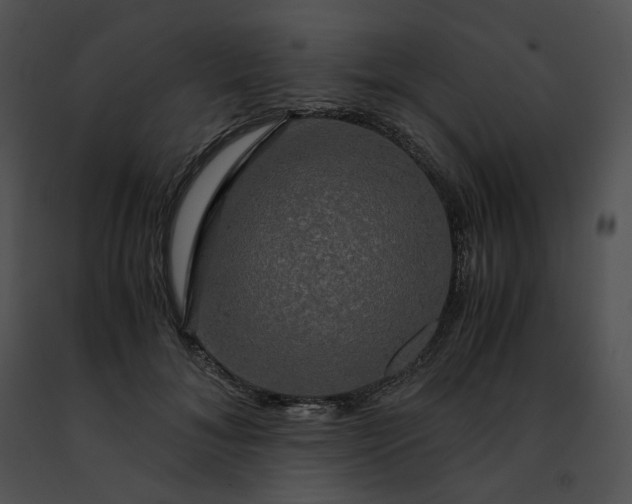 X0000091480700200708301914