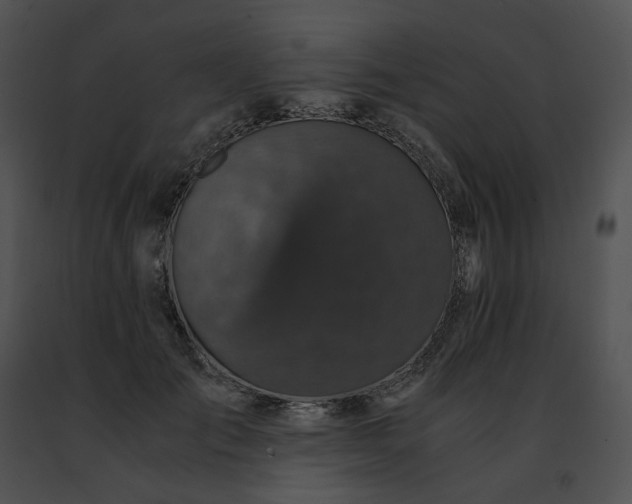 X0000091480701200708301914