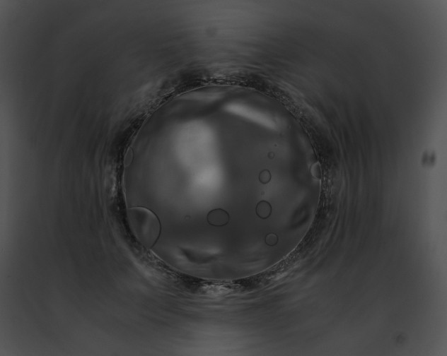 X0000091480703200708301914