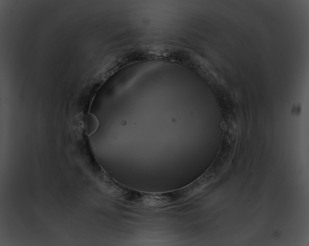 X0000091480707200708301914