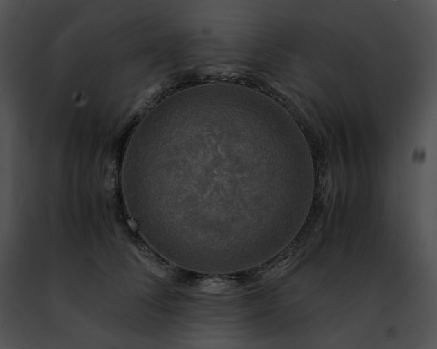 X0000091480708200708301914