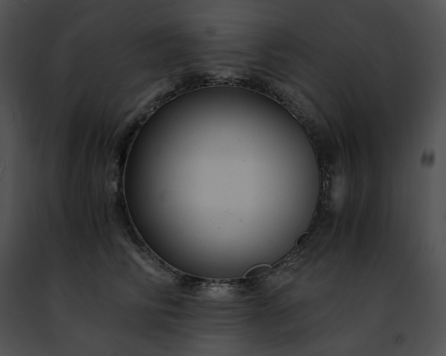 X0000091480710200708301914