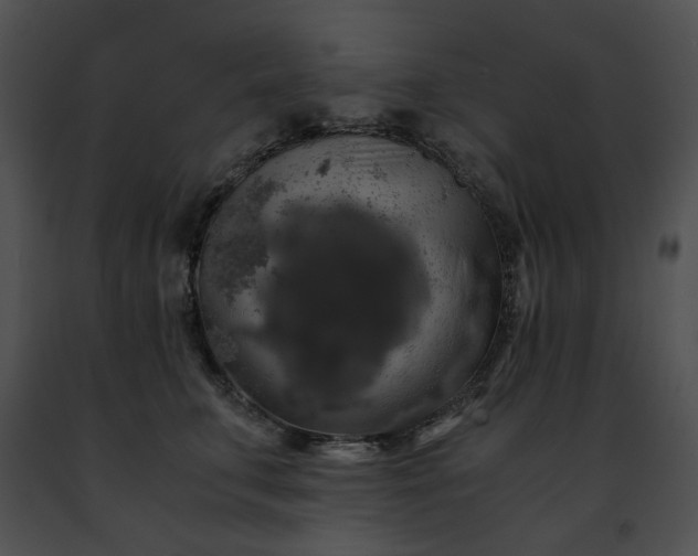 X0000091480711200708301914