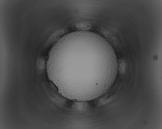 X0000091480713200708301914