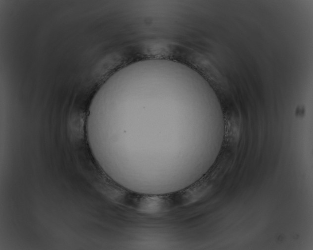 X0000091480717200708301914