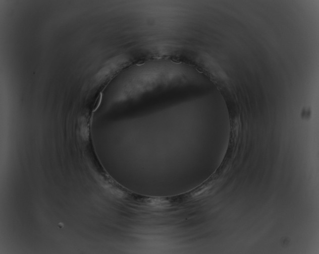 X0000091480719200708301914