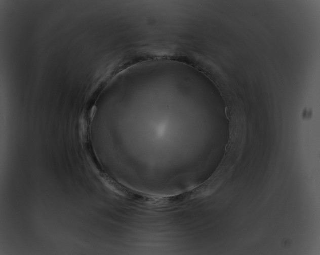 X0000091480720200708301914