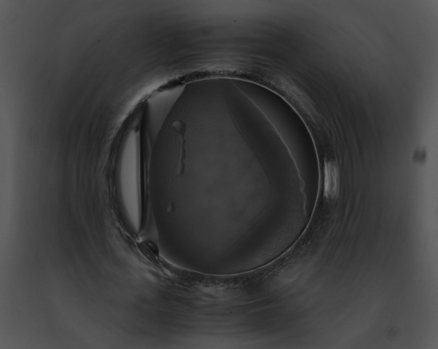 X0000091480723200708301914