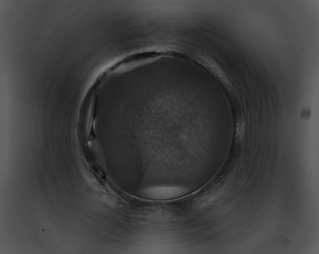 X0000091480724200708301914