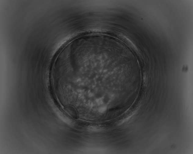 X0000091480725200708301914