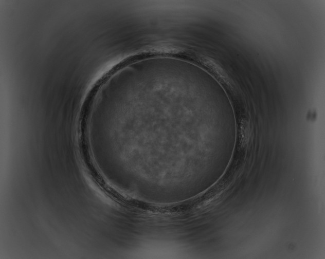 X0000091480726200708301914