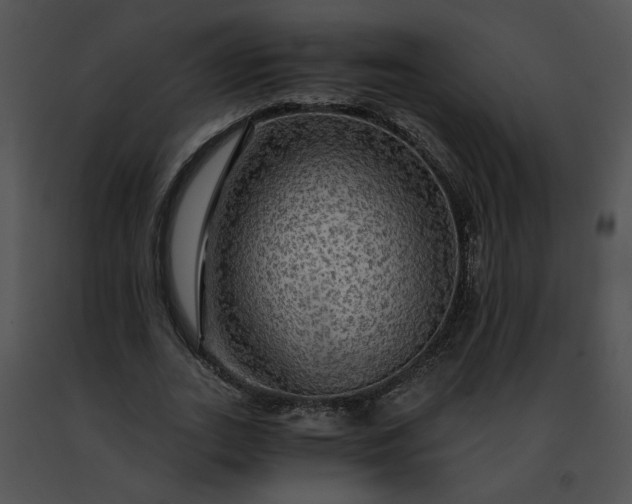 X0000091480727200708301914