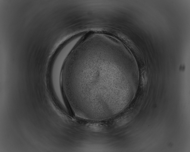 X0000091480728200708301914