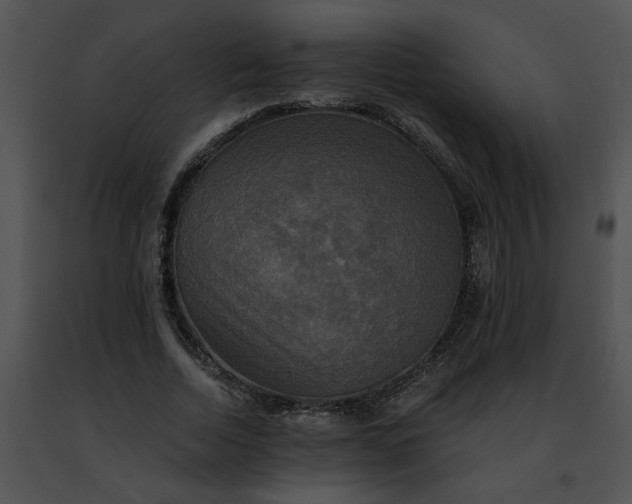 X0000091480730200708301914