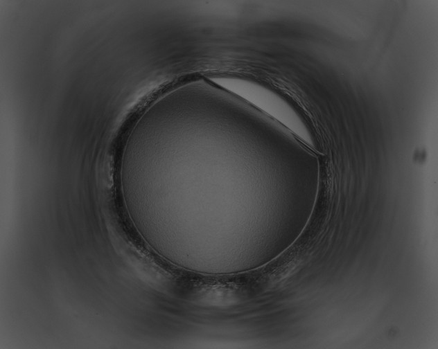 X0000091480731200708301914