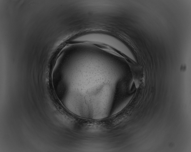 X0000091480732200708301914