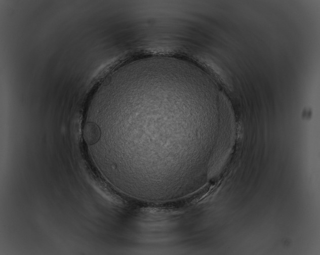 X0000091480733200708301914