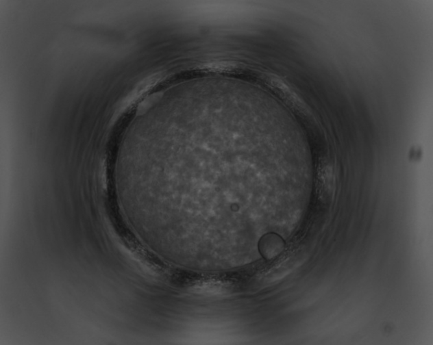 X0000091480734200708301914