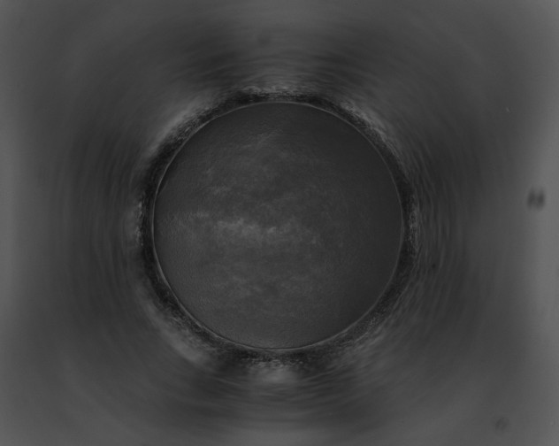 X0000091480735200708301914