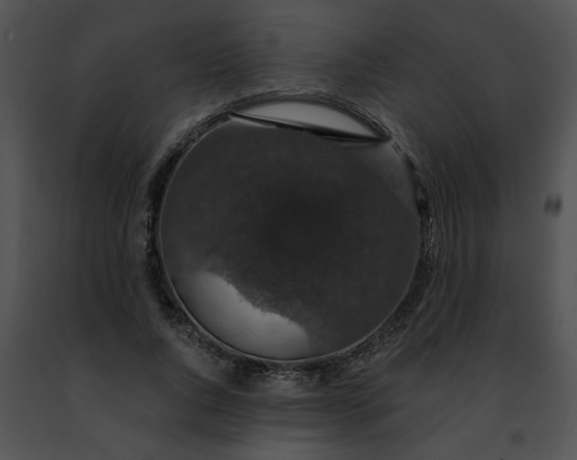 X0000091480736200708301914