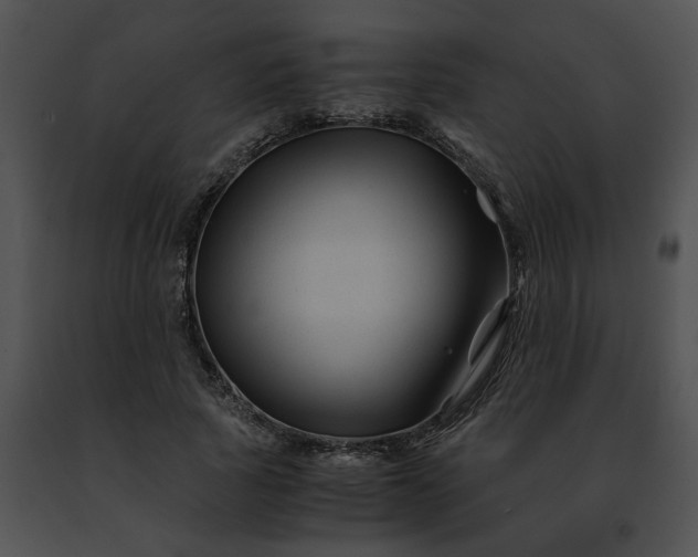 X0000091480737200708301914