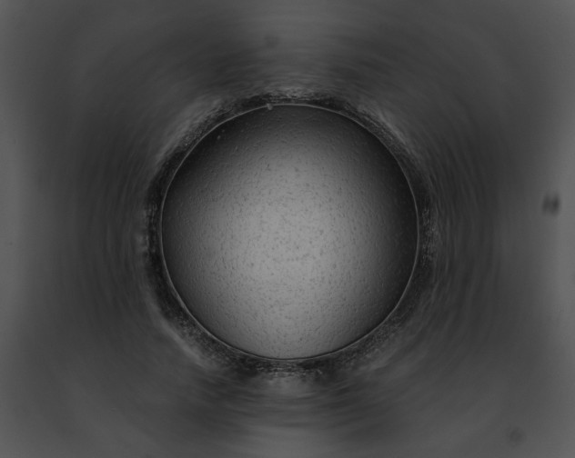 X0000091480738200708301914