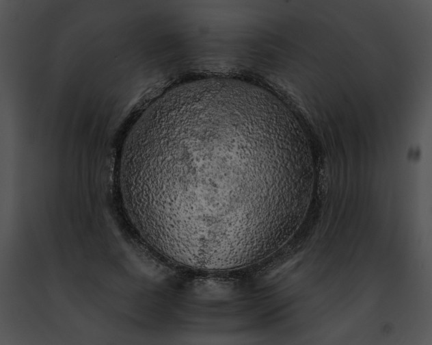 X0000091480739200708301914