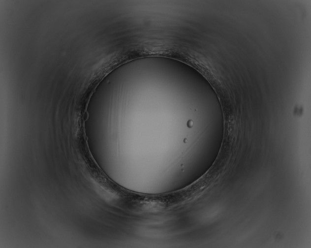 X0000091480741200708301914