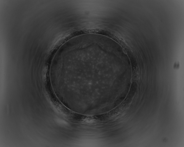 X0000091480742200708301914