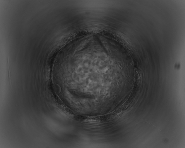 X0000091480745200708301914