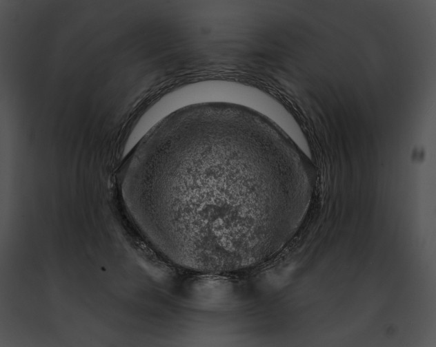 X0000091480750200708301914