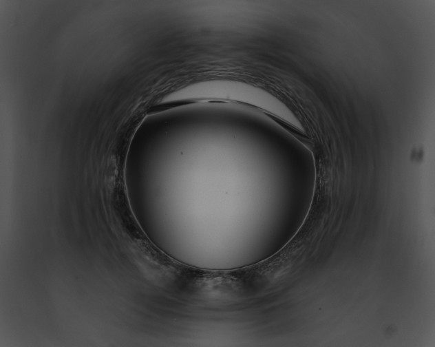 X0000091480752200708301914