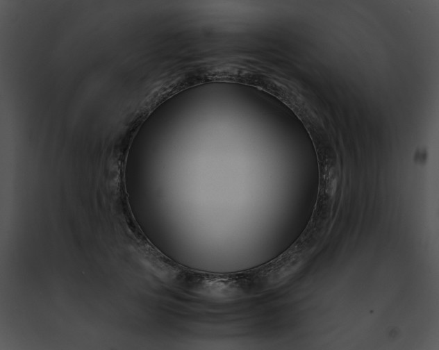 X0000091480753200708301914