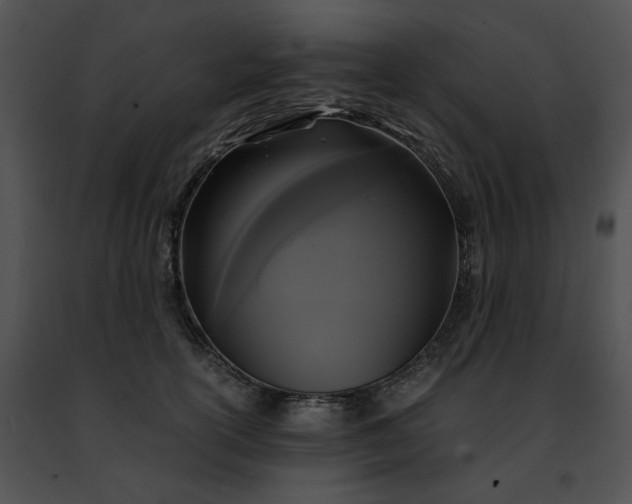 X0000091480754200708301914